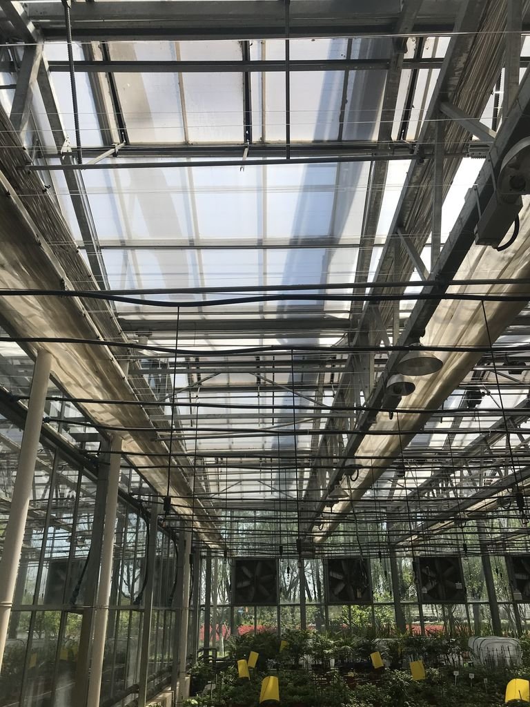Glass Venlo Greenhouse Amway China