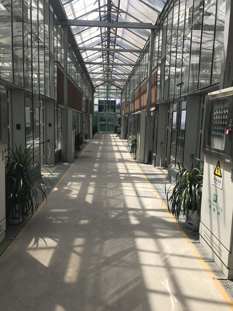 Glass Venlo Greenhouse Amway China