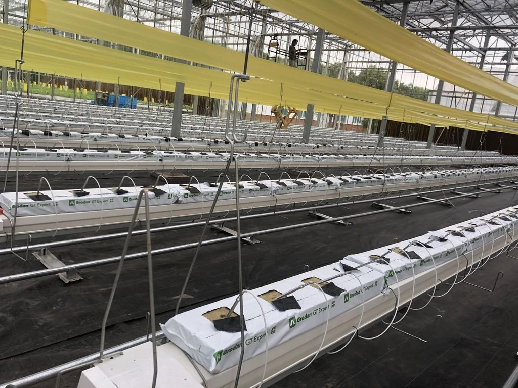 Glass Venlo Greenhouse Jiangsu China