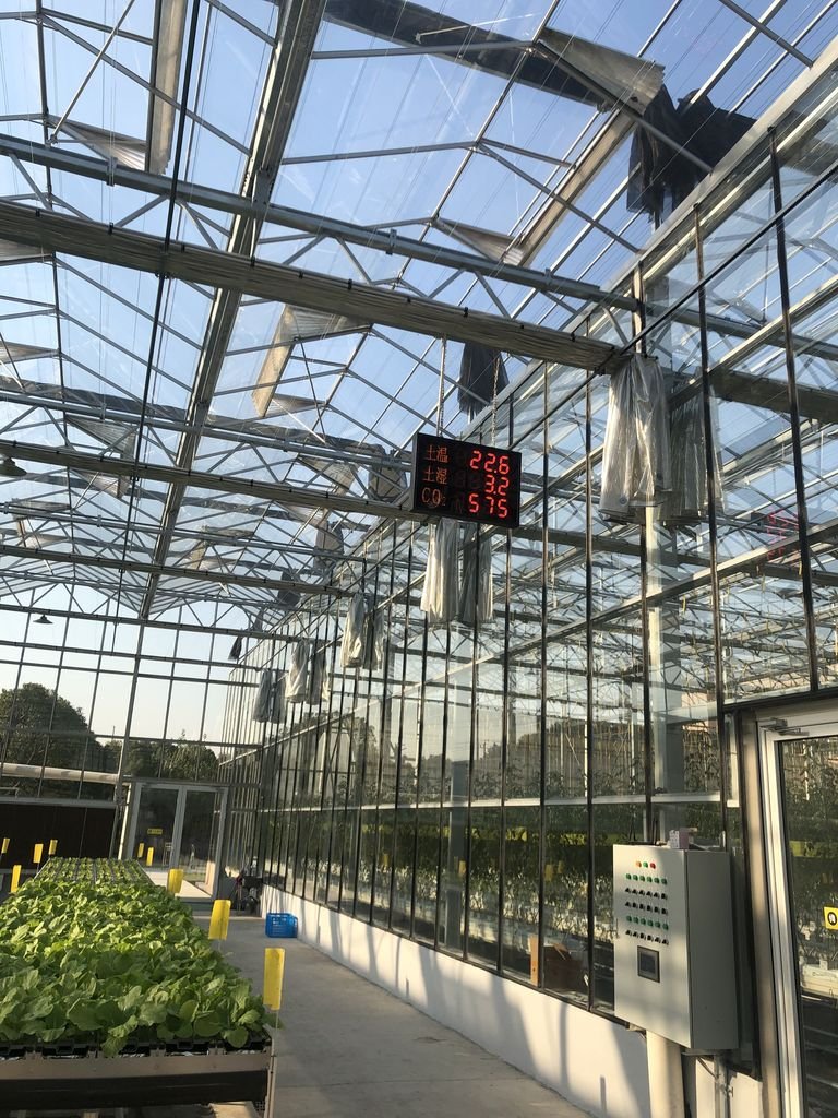 Glass Venlo Greenhouse Jiangsu China