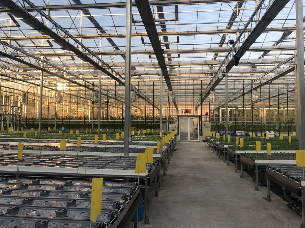 Glass Venlo Greenhouse Jiangsu China