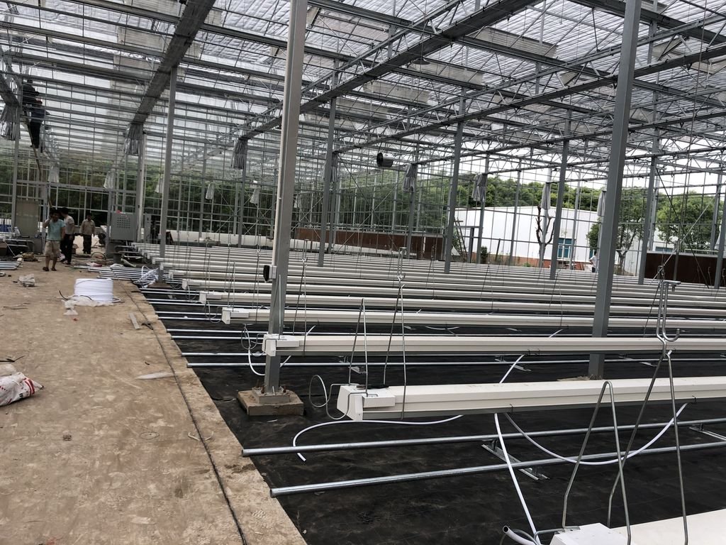 Glass Venlo Greenhouse Jiangsu China