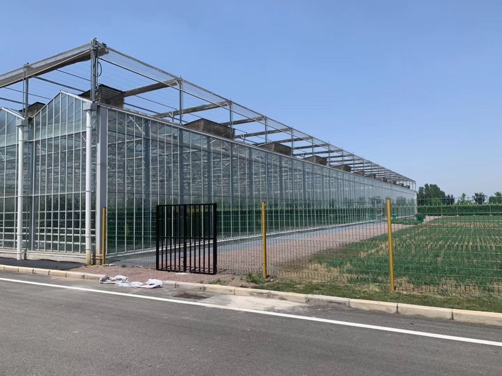 Glass Venlo Greenhouse Jiangsu China