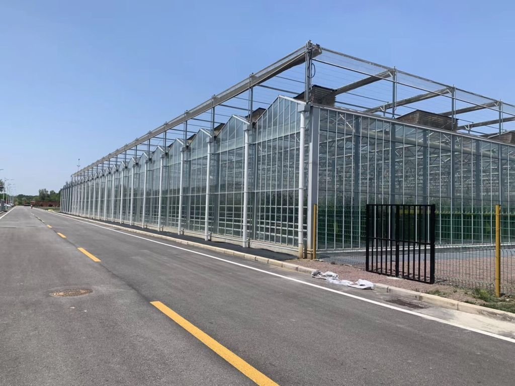 Glass Venlo Greenhouse Jiangsu China