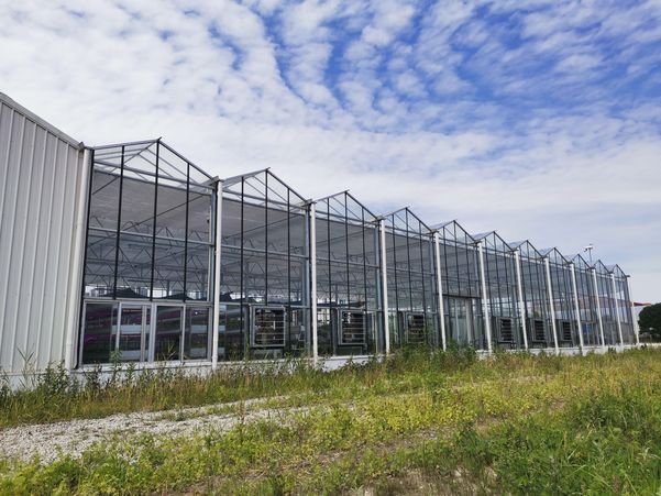 Glass Venlo Shanghai Greenhouse