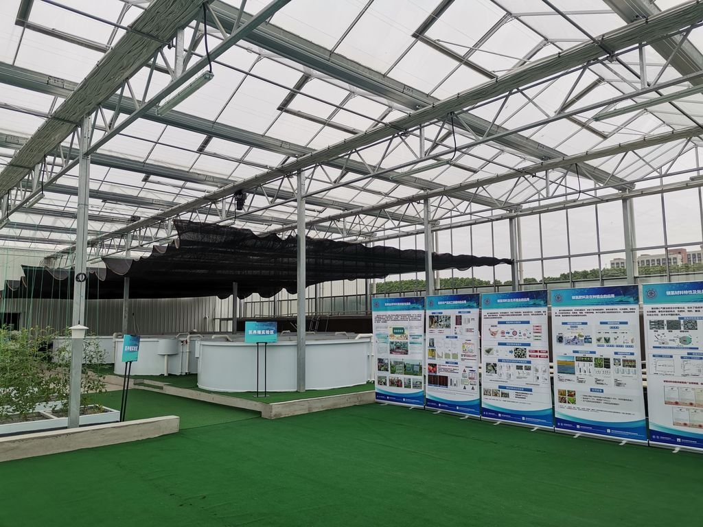 Glass Venlo Shanghai Greenhouse