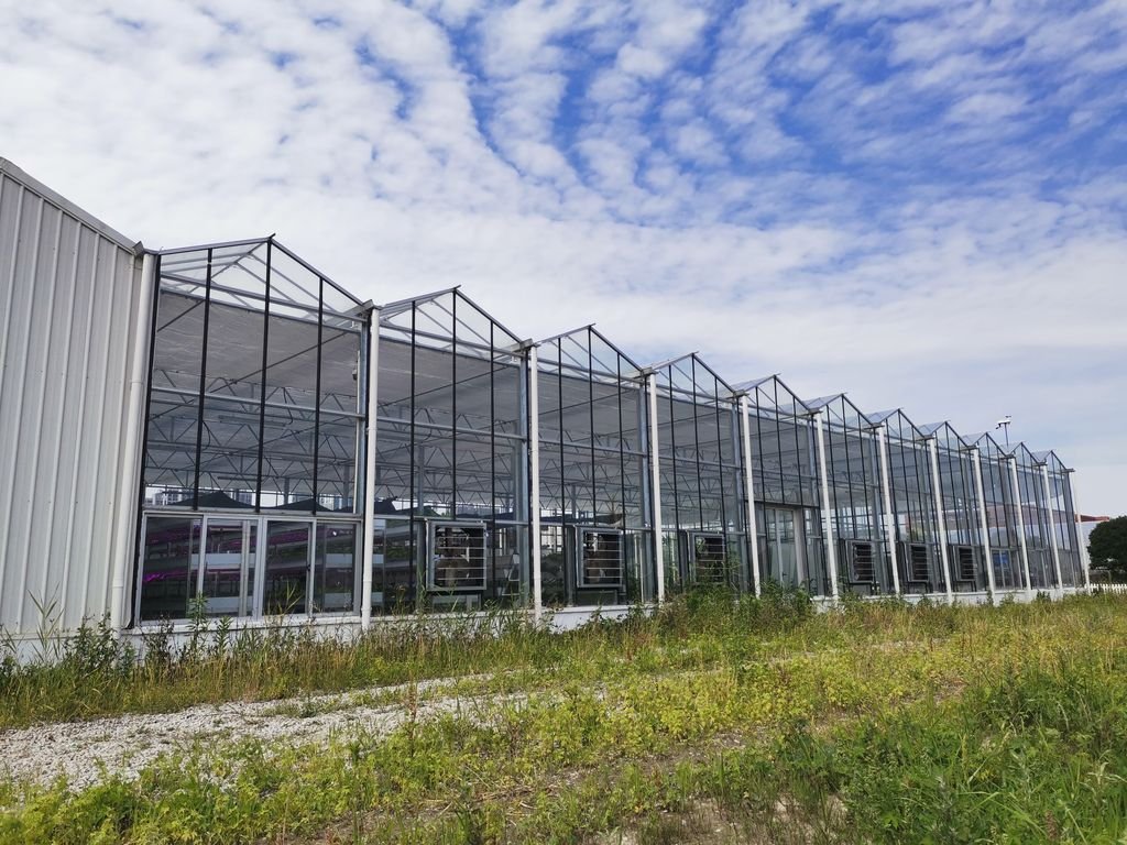 Glass Venlo Shanghai Greenhouse