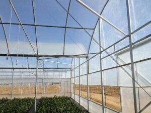 Gutter-Connected Poly Greenhouse