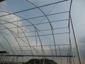 Gutter-Connected Poly Greenhouse