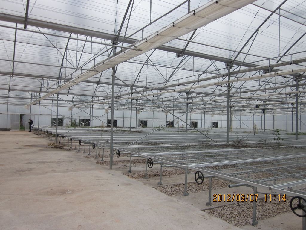 Gutter Connected Poly Greenhouse in zhejiang