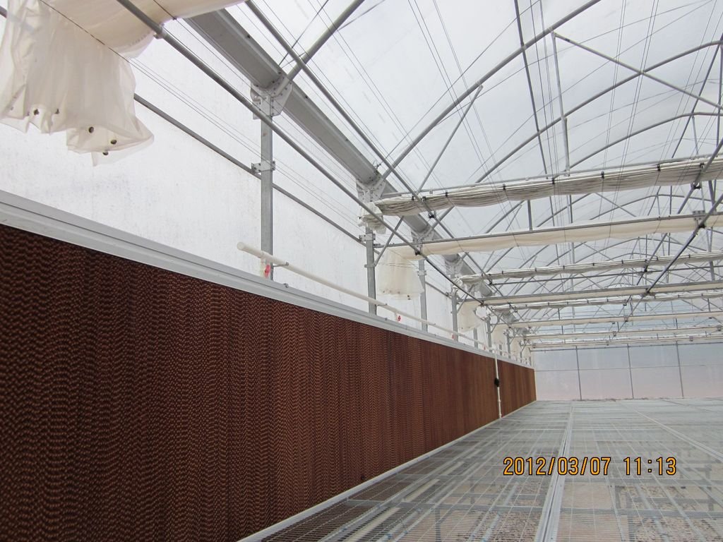 Gutter Connected Poly Greenhouse in zhejiang