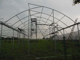 Gutter-Connected Poly Greenhouse