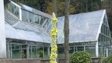 Alpine Greenhouse Engineering Breakthrough: Lushan Botanical Garden Project Defies -20°C Winters