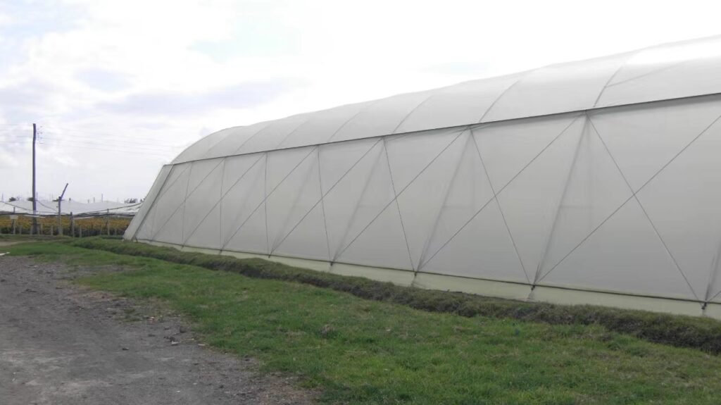 Multispan Sawtooth Plastic Greenhouse in Ethiopia