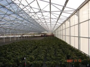 Traditional Glass_PC Greenhouse