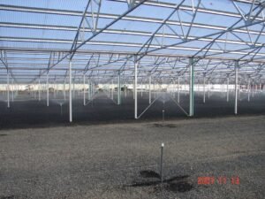 Traditional Glass_PC Greenhouse