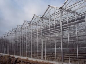 Venlo Glass/PC Greenhouse