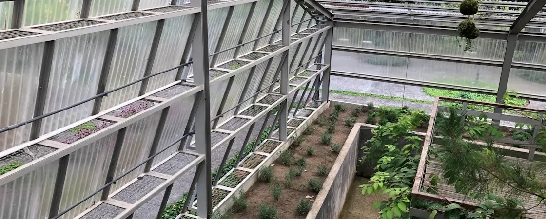 We provide Greenhouse
services since 2000