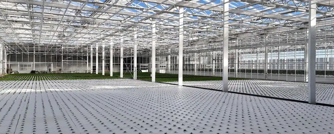 Tailored World Class Greenhouse Structures & Systems